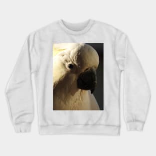 Sulphur Crested Cockatoo Crewneck Sweatshirt